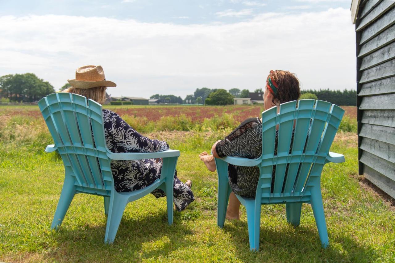 Het Zomerhuis Egmond-Binnen Eksteriør billede